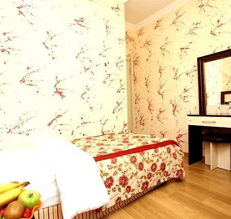 Old Sultanahmet 酒店 3*