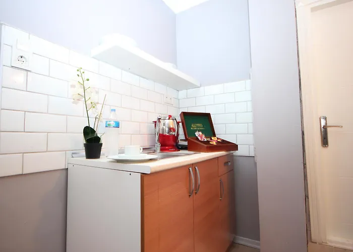 ホテル Old Sultanahmet 3*